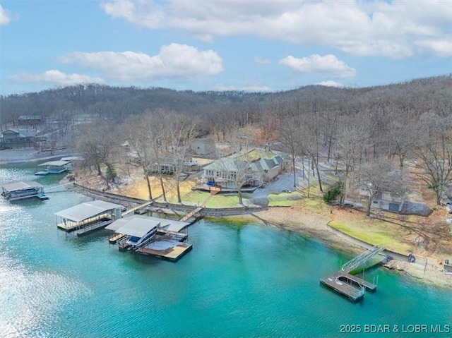 birds eye view of property featuring a water view and a wooded view