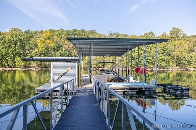 dock area with a water view