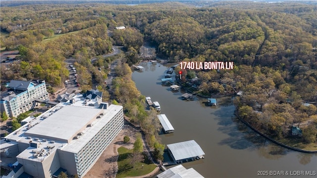 bird's eye view featuring a water view and a forest view