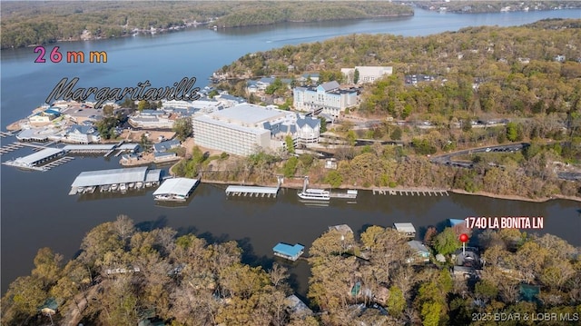 birds eye view of property with a water view and a forest view