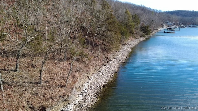 Bear Paw Rd, Camdenton, MO 65020 - photo 6