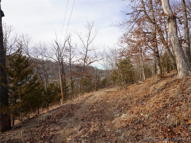 Bear Paw Rd, Camdenton, MO 65020 - photo 13