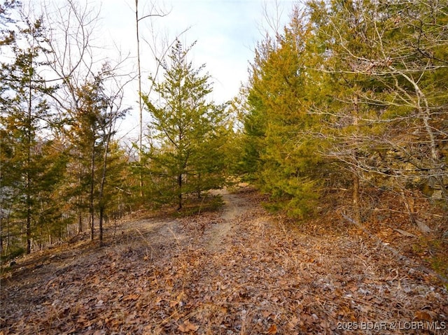 Bear Paw Rd, Camdenton, MO 65020 - photo 14