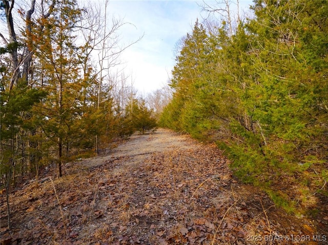 Bear Paw Rd, Camdenton, MO 65020 - photo 15