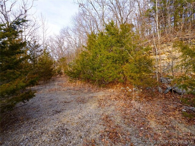Bear Paw Rd, Camdenton, MO 65020 - photo 16