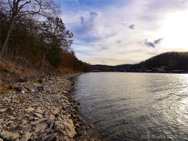 Bear Paw Rd, Camdenton, MO 65020 - photo 19