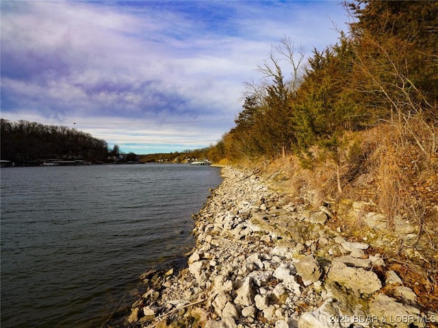 Bear Paw Rd, Camdenton, MO 65020 - photo 20
