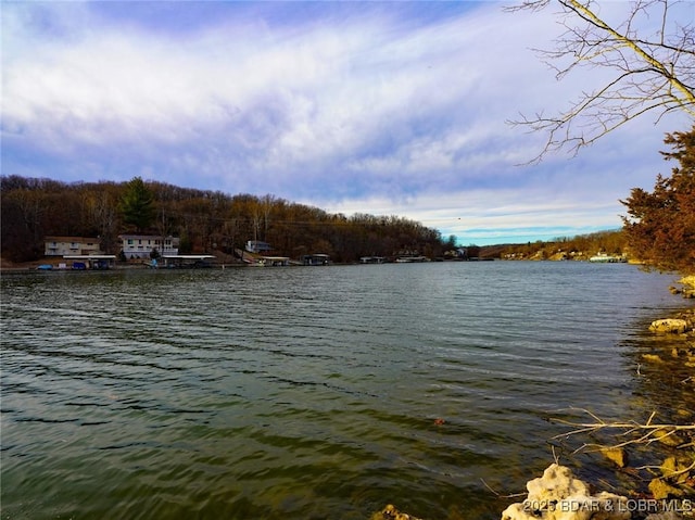 Bear Paw Rd, Camdenton, MO 65020 - photo 21