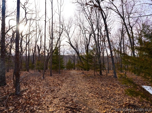 Bear Paw Rd, Camdenton, MO 65020 - photo 8