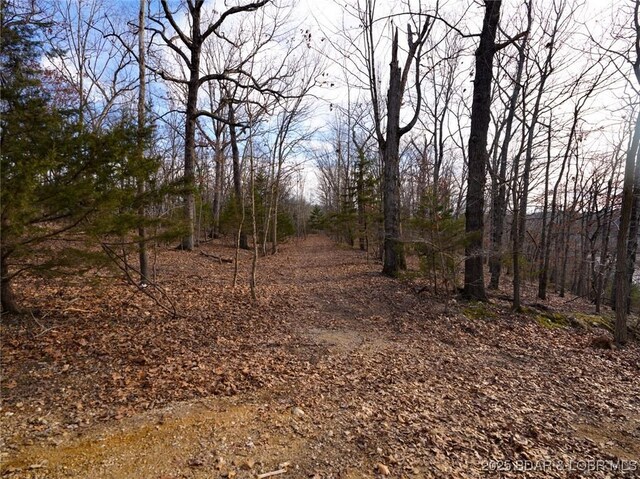 Bear Paw Rd, Camdenton, MO 65020 - photo 9