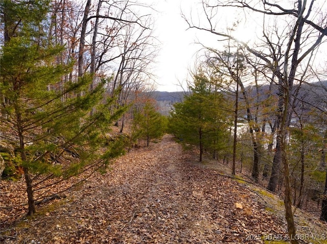 Bear Paw Rd, Camdenton, MO 65020 - photo 10