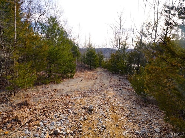 Bear Paw Rd, Camdenton, MO 65020 - photo 11
