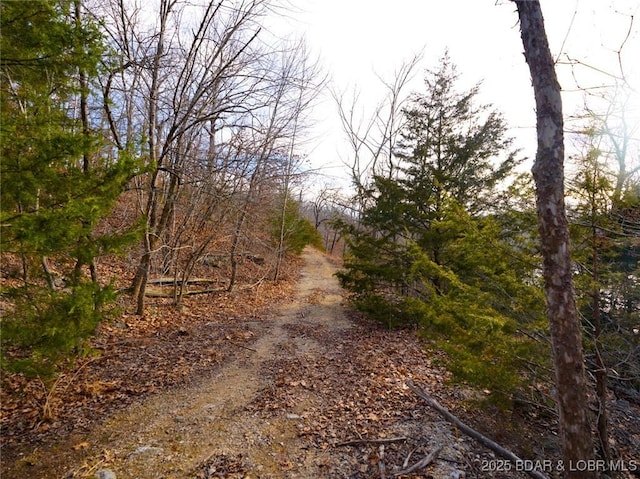 Bear Paw Rd, Camdenton, MO 65020 - photo 12