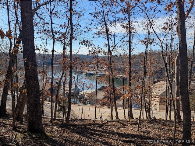 Listing photo 2 for LOT239 Sweetwater Dr, Four Seasons MO 65049