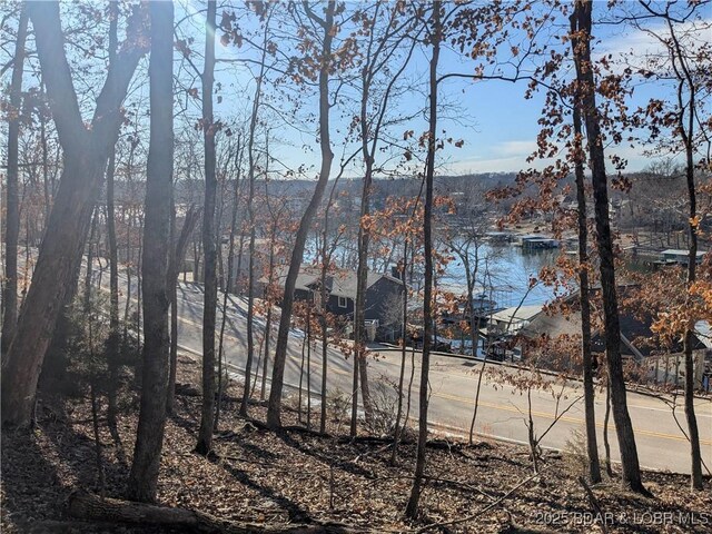LOT239 Sweetwater Dr, Four Seasons, MO 65049