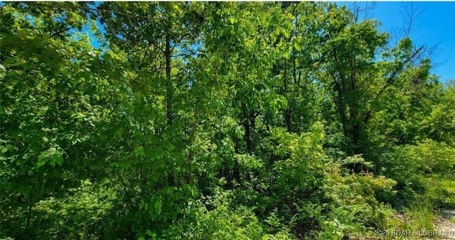 Listing photo 2 for LOT4 Lakewood Ln, Barnett MO 65011