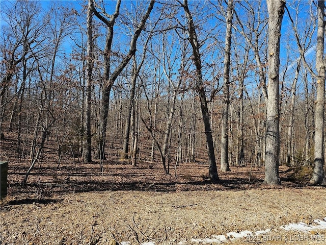 Listing photo 2 for TBDLOT895 Alabaster Ct, Lake Ozark MO 65049