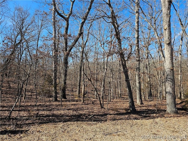 Listing photo 3 for TBDLOT895 Alabaster Ct, Lake Ozark MO 65049