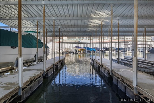 dock area with a water view