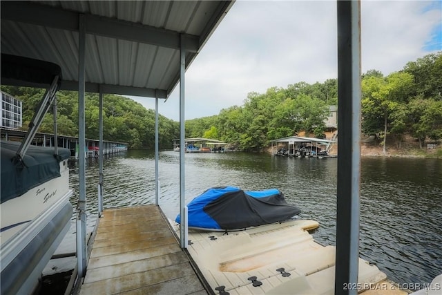 dock area with a water view