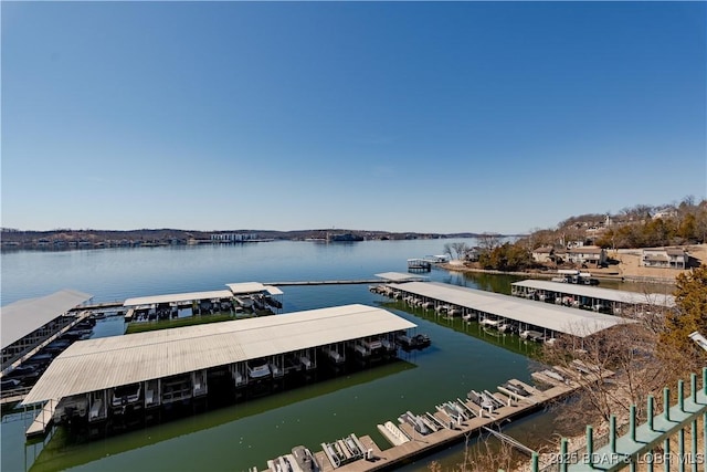 dock area featuring a water view