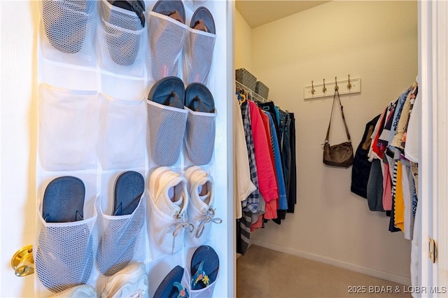 view of spacious closet