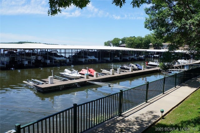 dock area with a water view