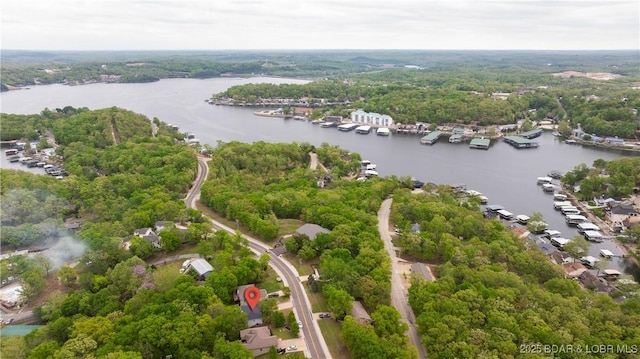 birds eye view of property featuring a water view and a forest view