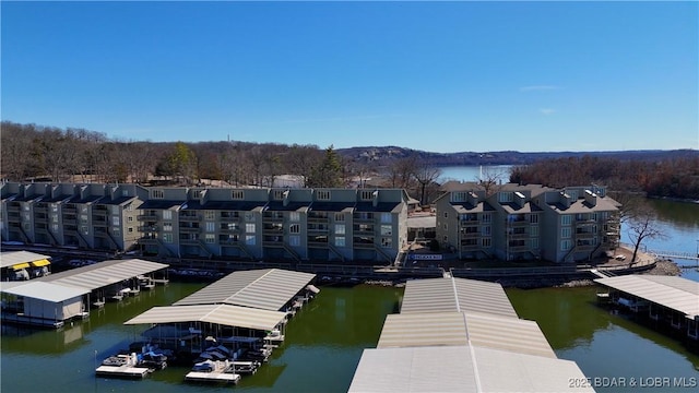 dock area featuring a water view