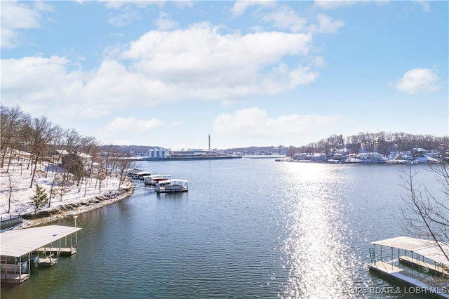 dock area featuring a water view