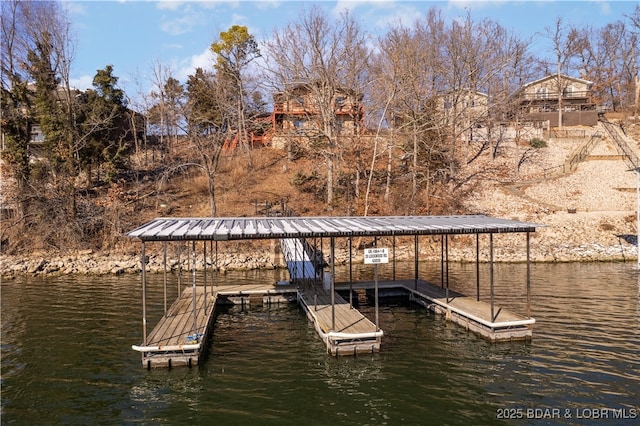 dock area with a water view