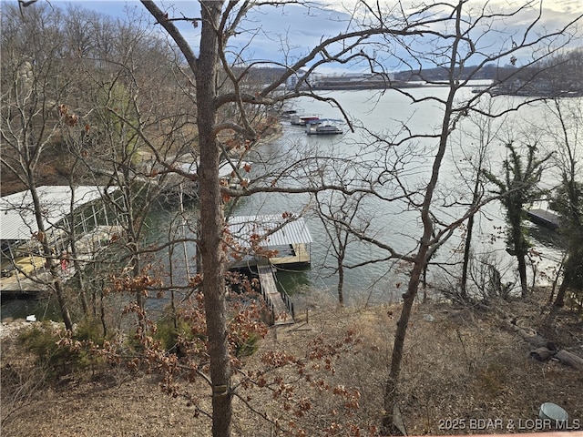 property view of water featuring a dock