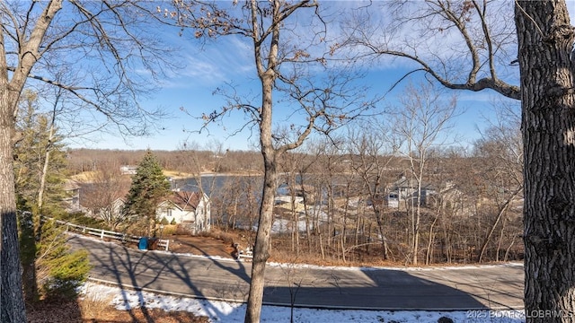 5317 Locust Ct, Osage Beach, MO 65065 - view of yard