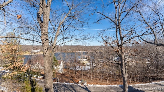 5317 Locust Ct, Osage Beach, MO 65065 - water view