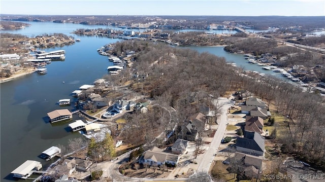 5317 Locust Ct, Osage Beach, MO 65065 - view of property location featuring a large body of water and a marina