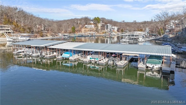 view of dock with a water view and boat lift