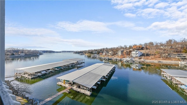 dock area with a water view