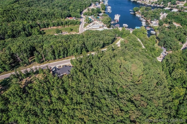 LOT109 Terry Rd, Lake Ozark, MO 65049