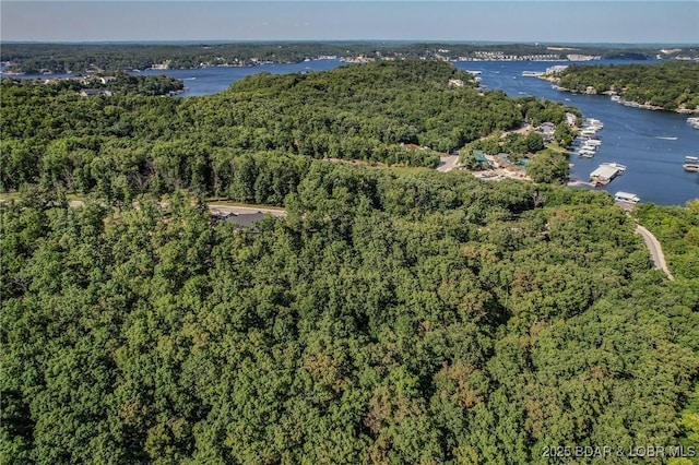 LOT109 Terry Rd, Lake Ozark, MO 65049