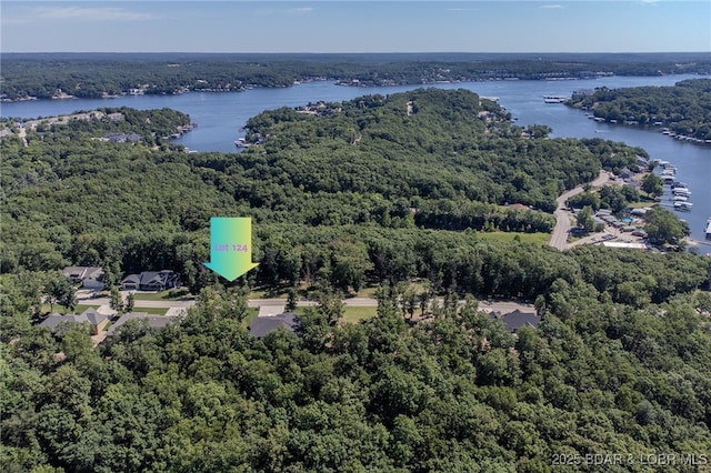 LOT109 Terry Rd, Lake Ozark, MO 65049
