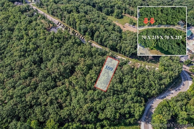 LOT109 Terry Rd, Lake Ozark, MO 65049