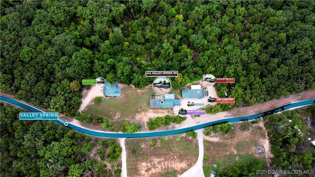411 Valley Spring Rd, Camdenton, MO 65020 - drone / aerial view