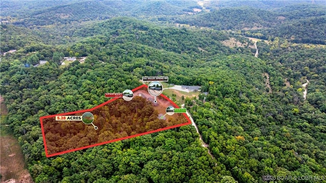 aerial view with a forest view