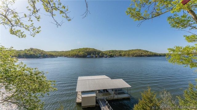 dock area with a forest view and a water view