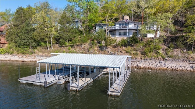 dock area with a water view