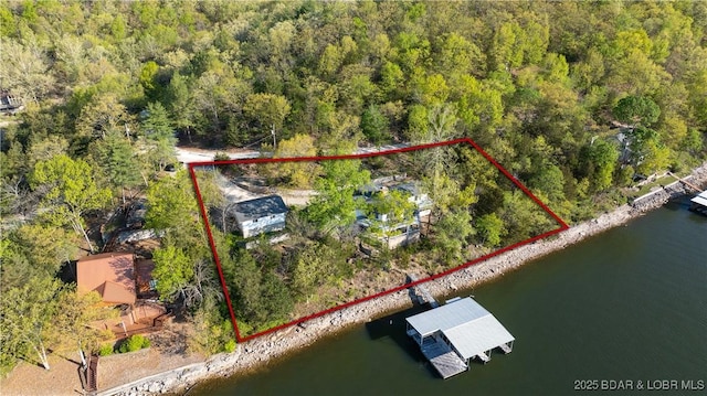 bird's eye view featuring a water view and a view of trees