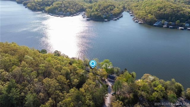 birds eye view of property featuring a wooded view and a water view