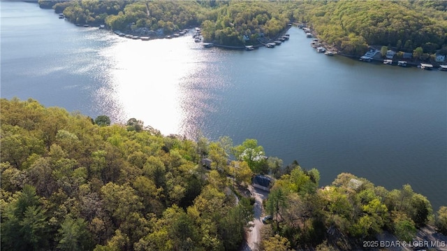 birds eye view of property with a water view and a view of trees