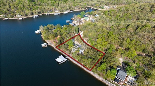 drone / aerial view with a view of trees and a water view