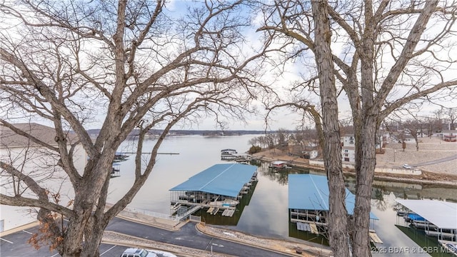 water view with a floating dock